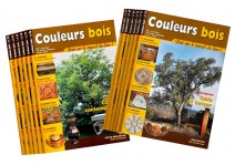 Couleurs bois - Par année