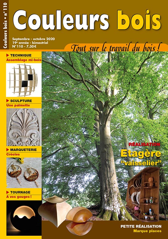 Couverture Couleurs bois n°110