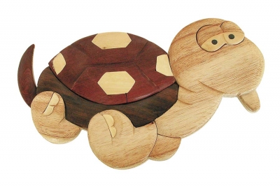 Zoé, la tortue