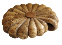 Coquillages en bois