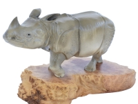 Rhinocéros